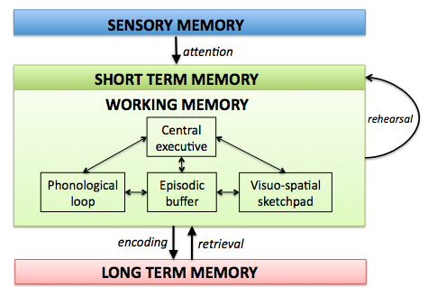 Working memory in the context of different types of memory